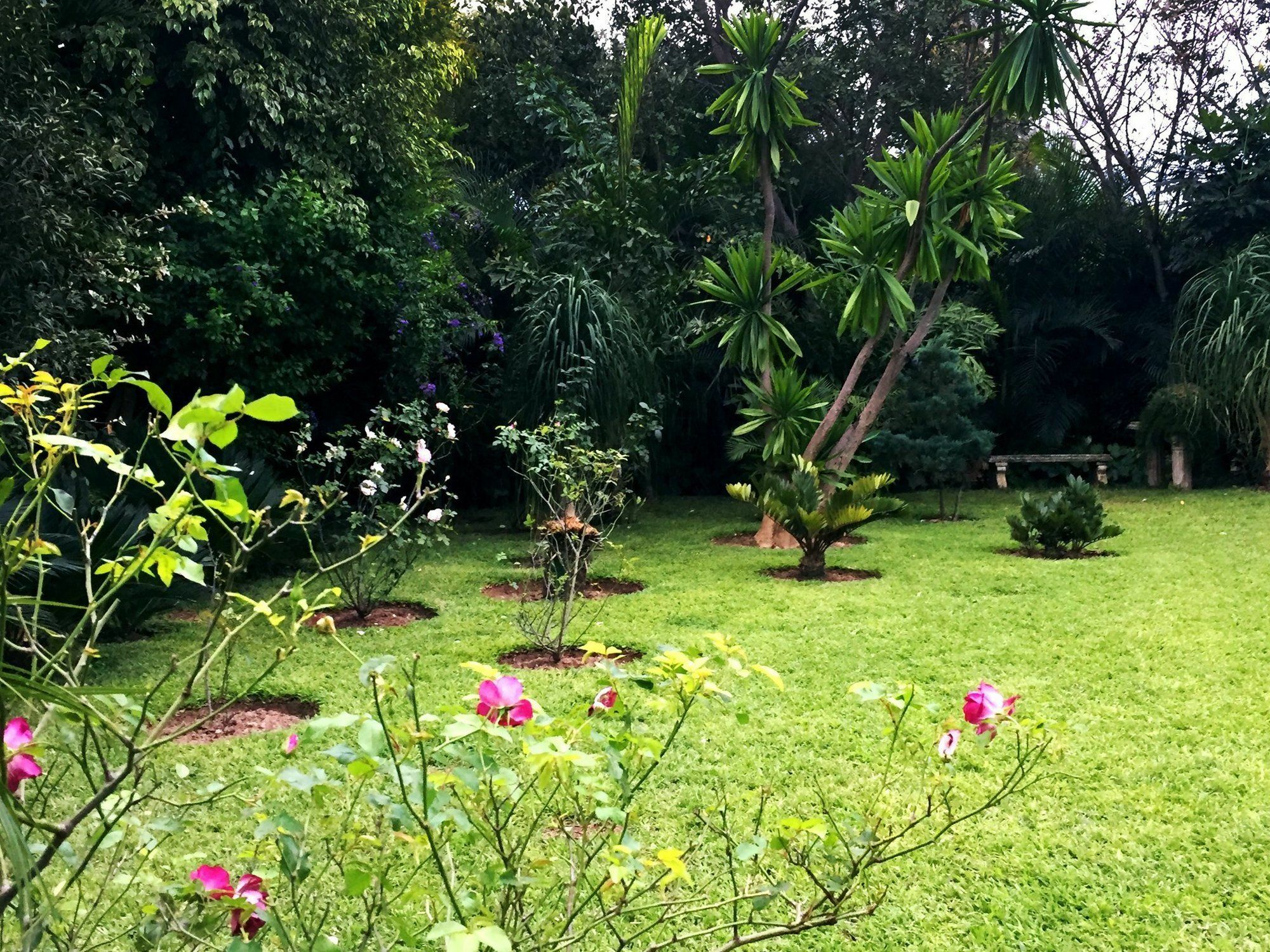 Palmwood Lodge Lusaka Exterior foto